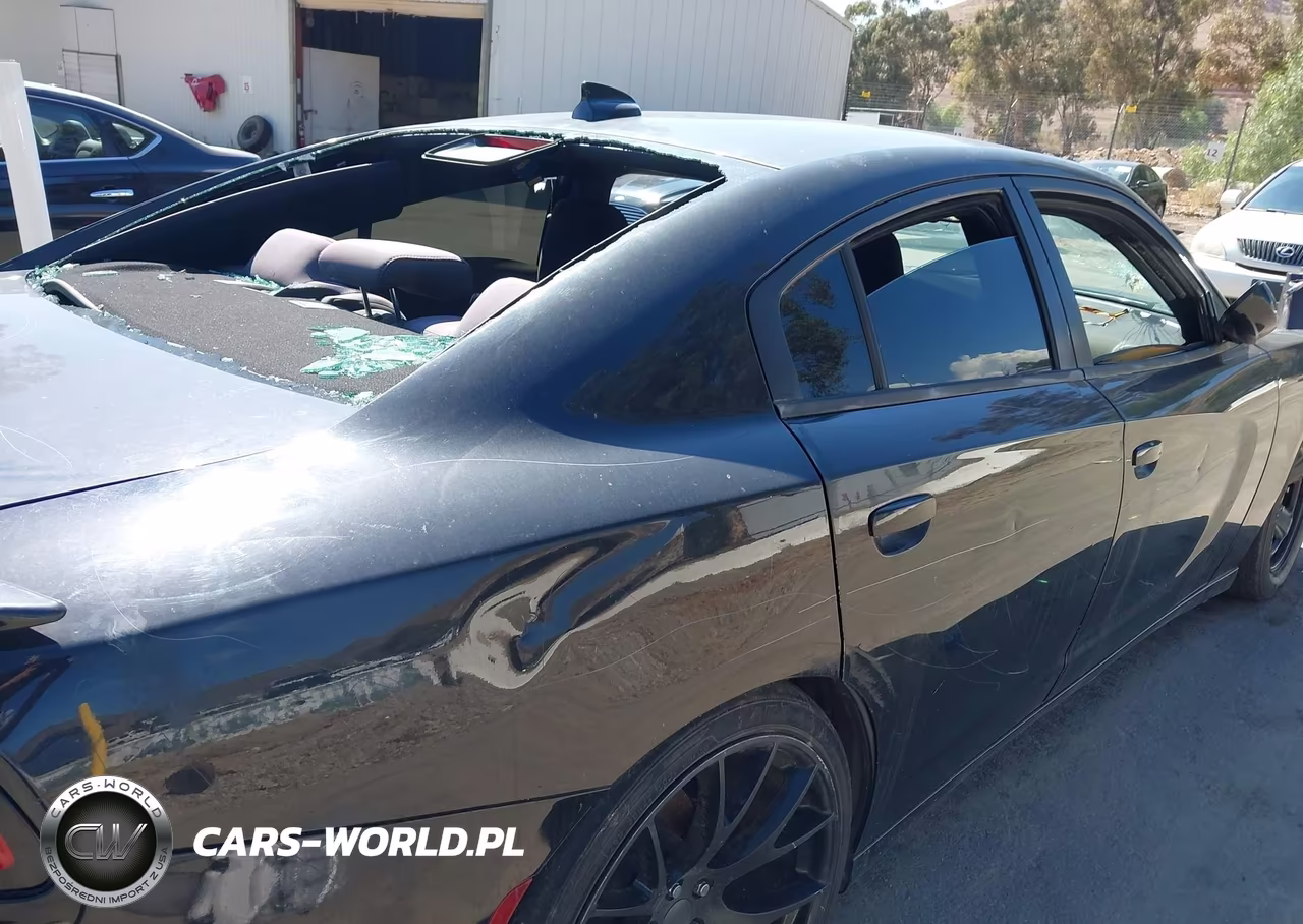 2018 Dodge Charger Sxt Plus Rwd VIN:2C3CDXHG7JH125851 - 20