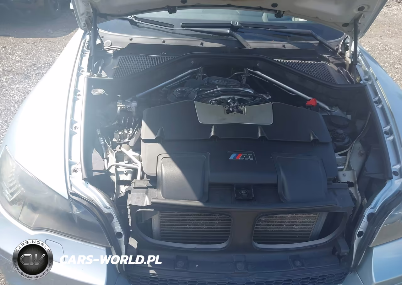2010 BMW X5 M VIN:5YMGY0C59ALK25281 - 10