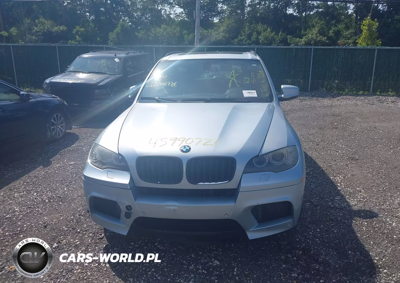 2010 BMW X5 M VIN:5YMGY0C59ALK25281 - 11