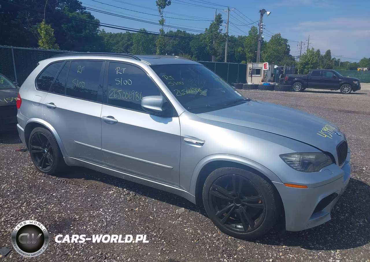 2010 BMW X5 M VIN:5YMGY0C59ALK25281 - 12