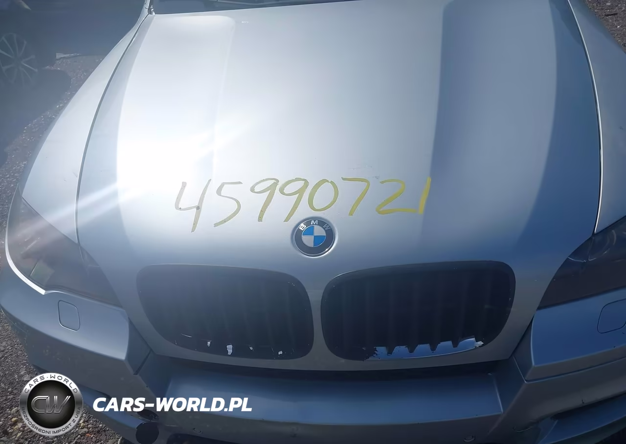 2010 BMW X5 M VIN:5YMGY0C59ALK25281 - 18