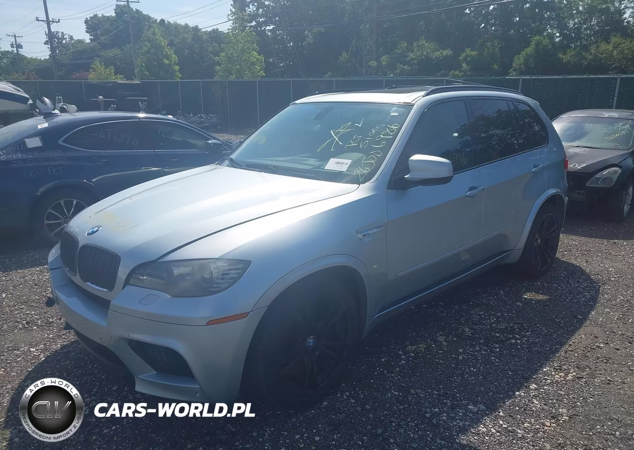 2010 BMW X5 M VIN:5YMGY0C59ALK25281 - 2
