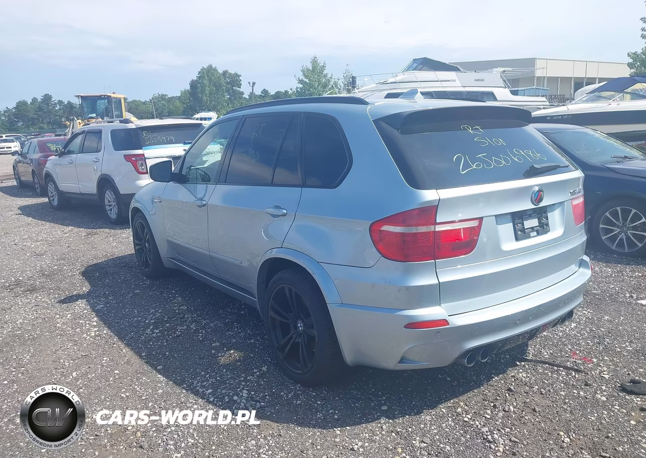 2010 BMW X5 M VIN:5YMGY0C59ALK25281 - 3