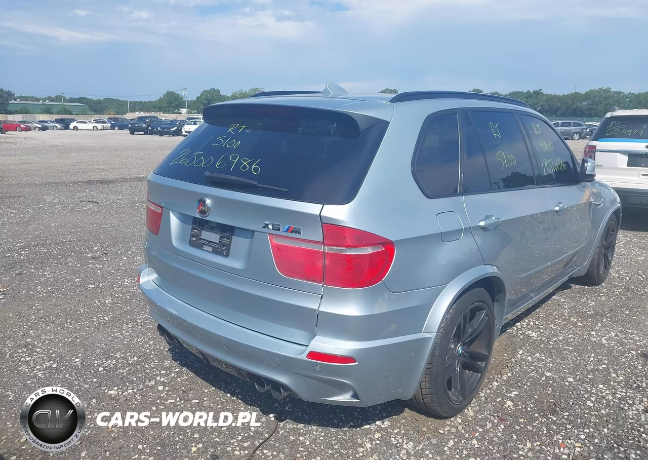 2010 BMW X5 M VIN:5YMGY0C59ALK25281 - 4