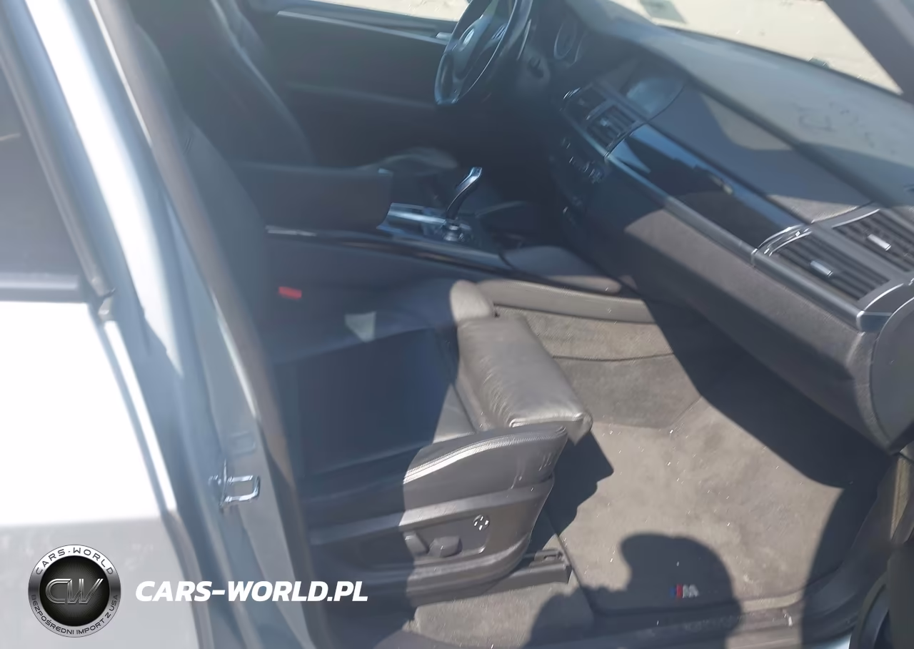 2010 BMW X5 M VIN:5YMGY0C59ALK25281 - 5