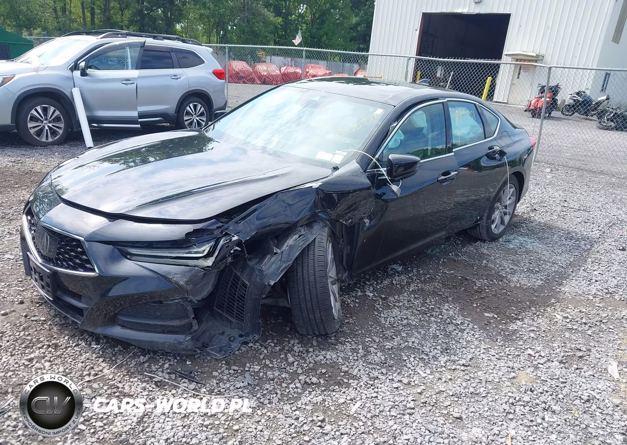 2021 Acura Tlx Standard VIN:19UUB6F3XMA003764 - 2
