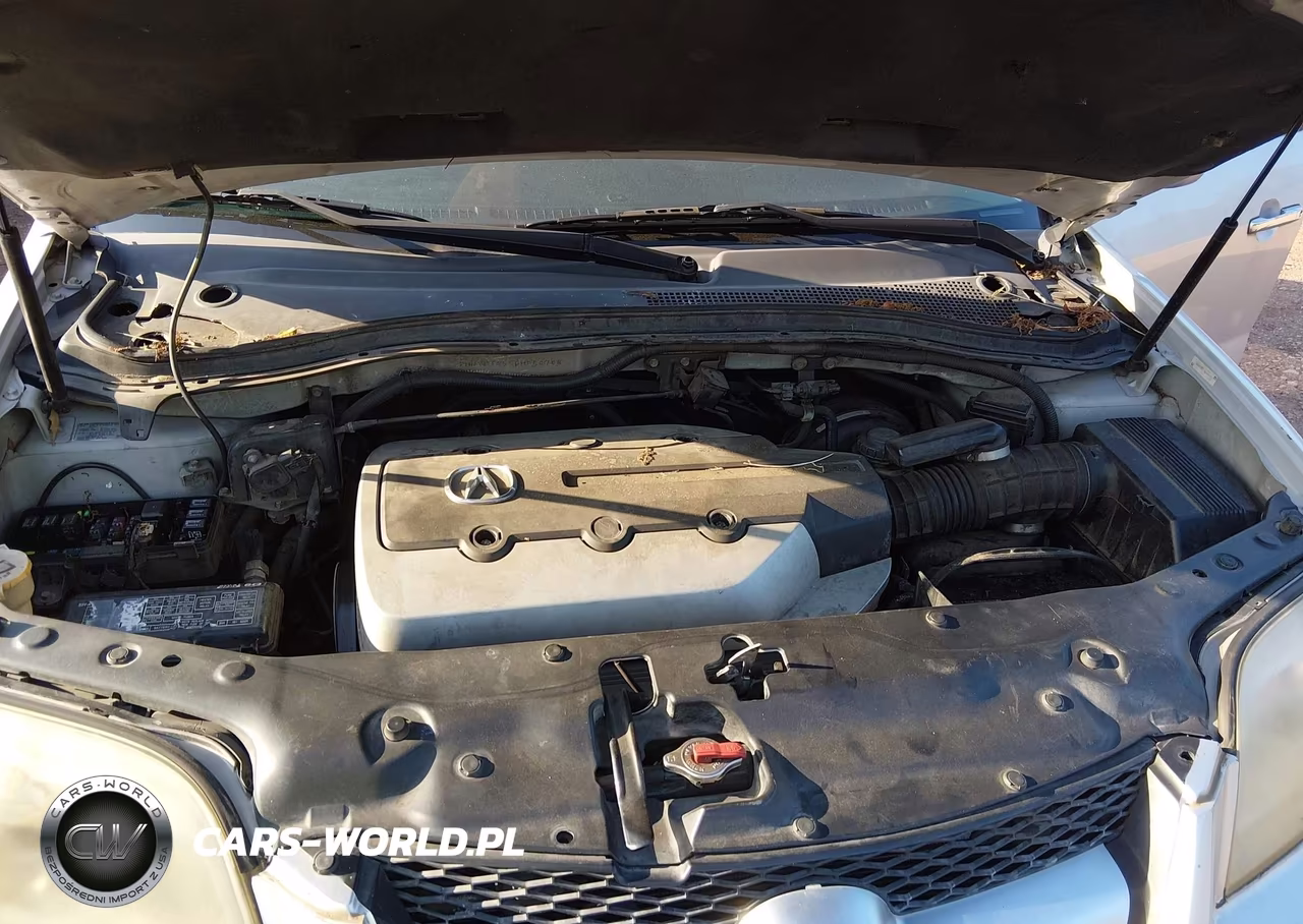 2005 Acura Mdx VIN:2HNYD18955H544748 - 10