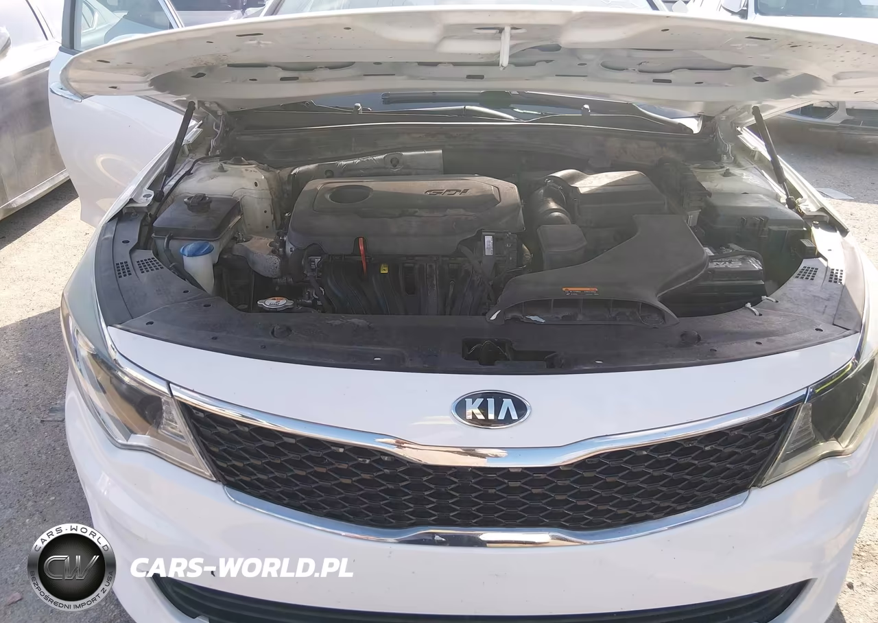 2016 Kia Optima Lx VIN:KNAGT4L31G5070426 - 10