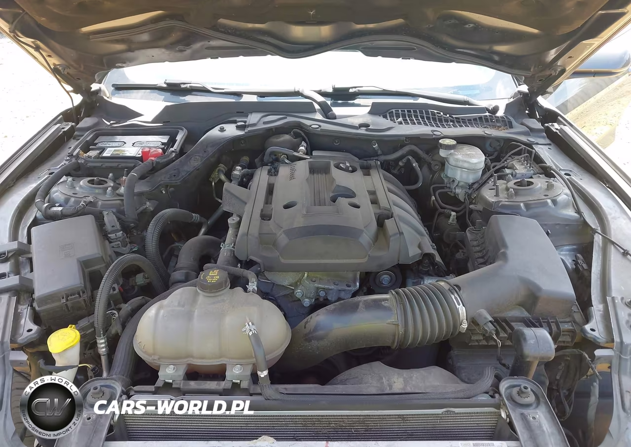 2019 Ford Mustang Ecoboost Premium VIN:1FA6P8TH7K5191806 - 10