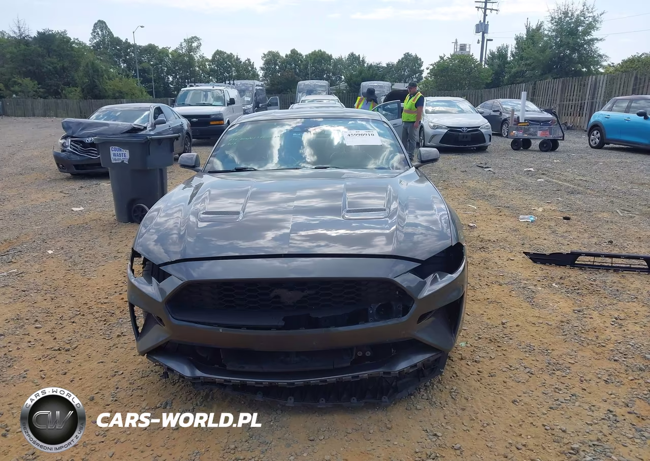 2019 Ford Mustang Ecoboost Premium VIN:1FA6P8TH7K5191806 - 13