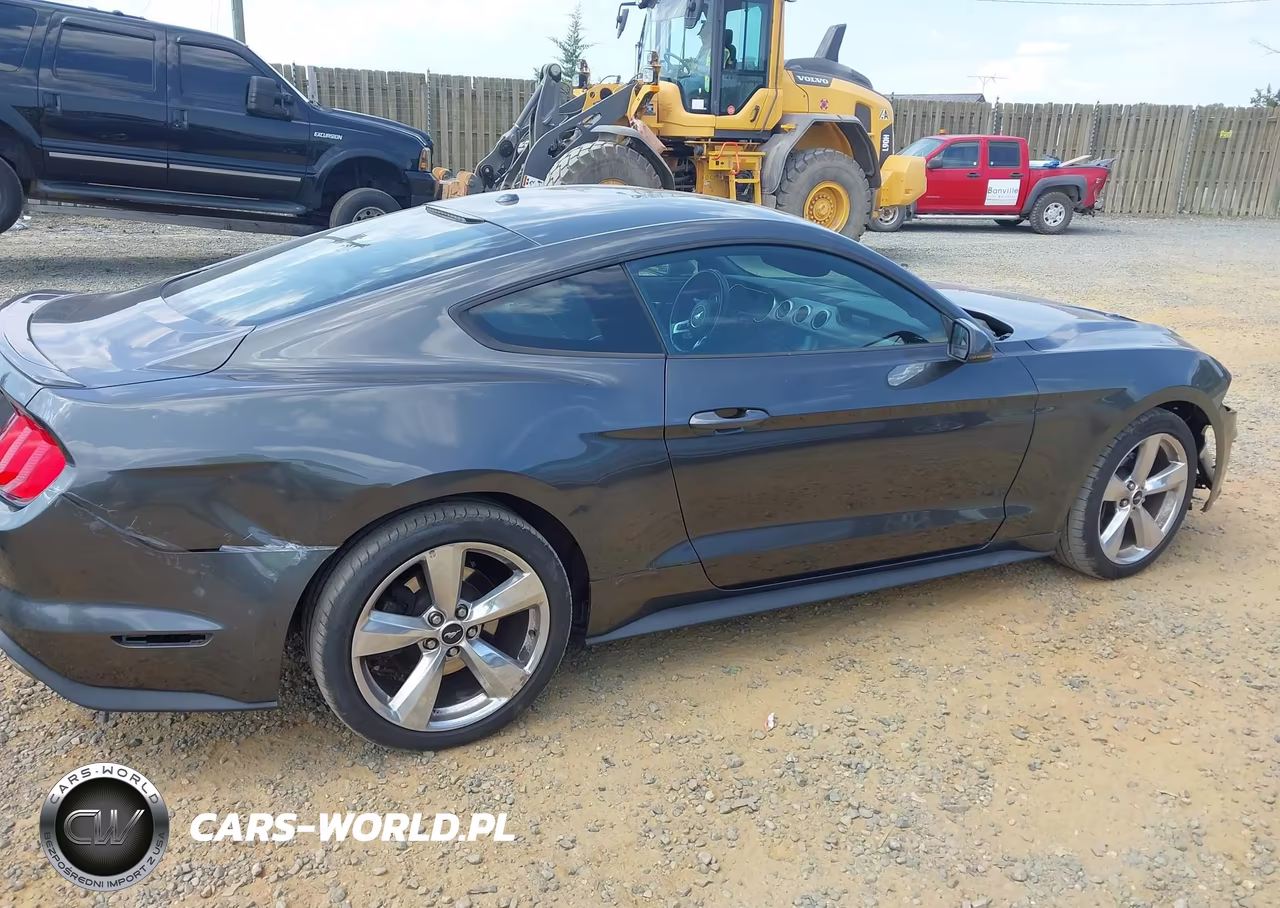 2019 Ford Mustang Ecoboost Premium VIN:1FA6P8TH7K5191806 - 14