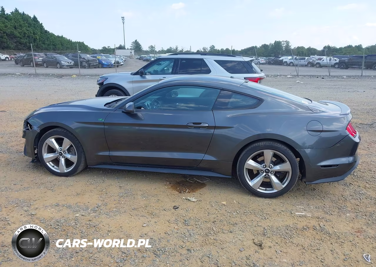 2019 Ford Mustang Ecoboost Premium VIN:1FA6P8TH7K5191806 - 15