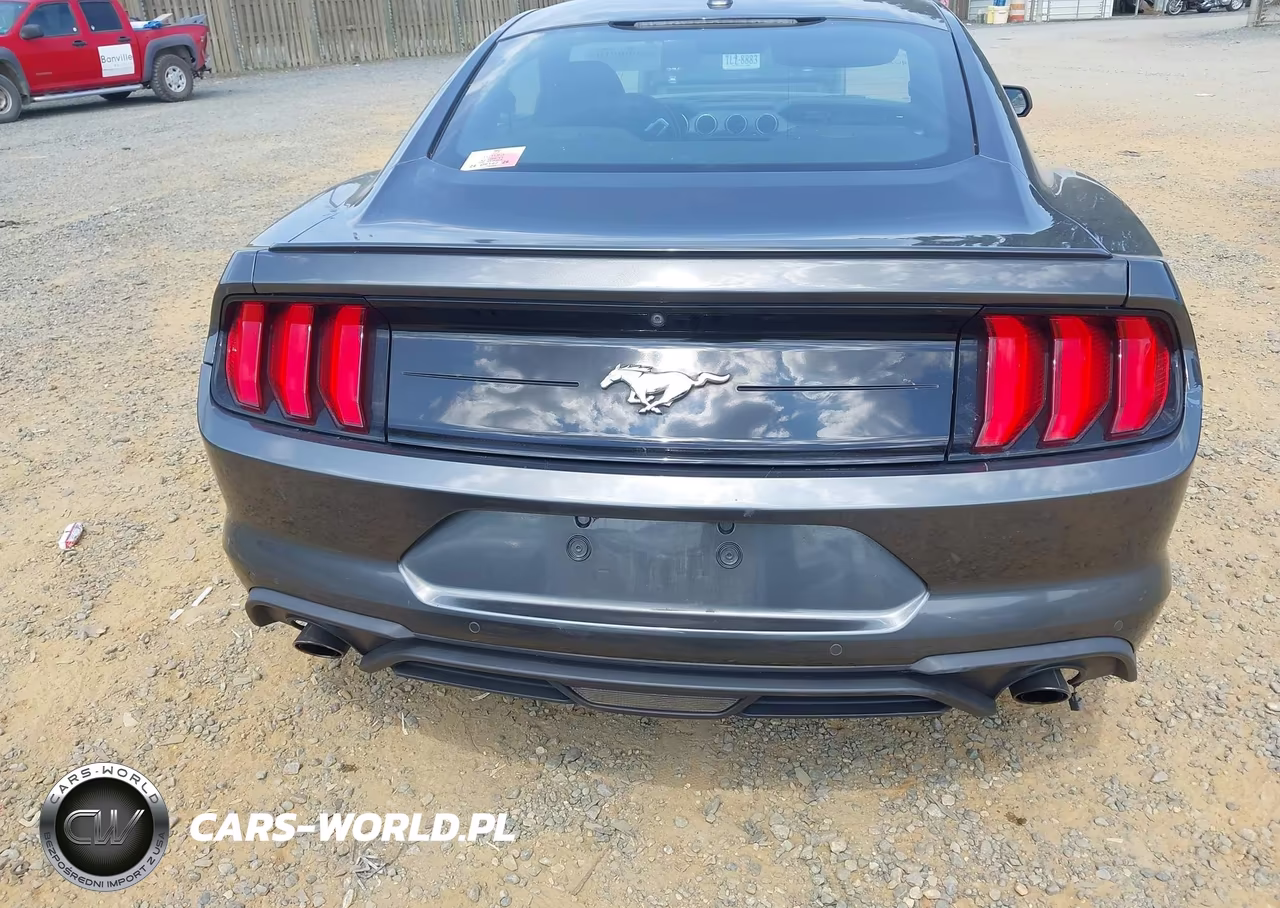 2019 Ford Mustang Ecoboost Premium VIN:1FA6P8TH7K5191806 - 17