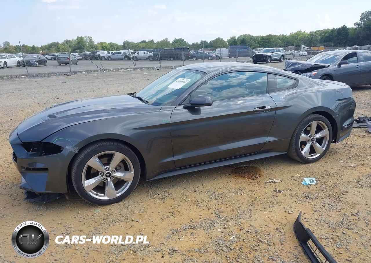 2019 Ford Mustang Ecoboost Premium VIN:1FA6P8TH7K5191806 - 2