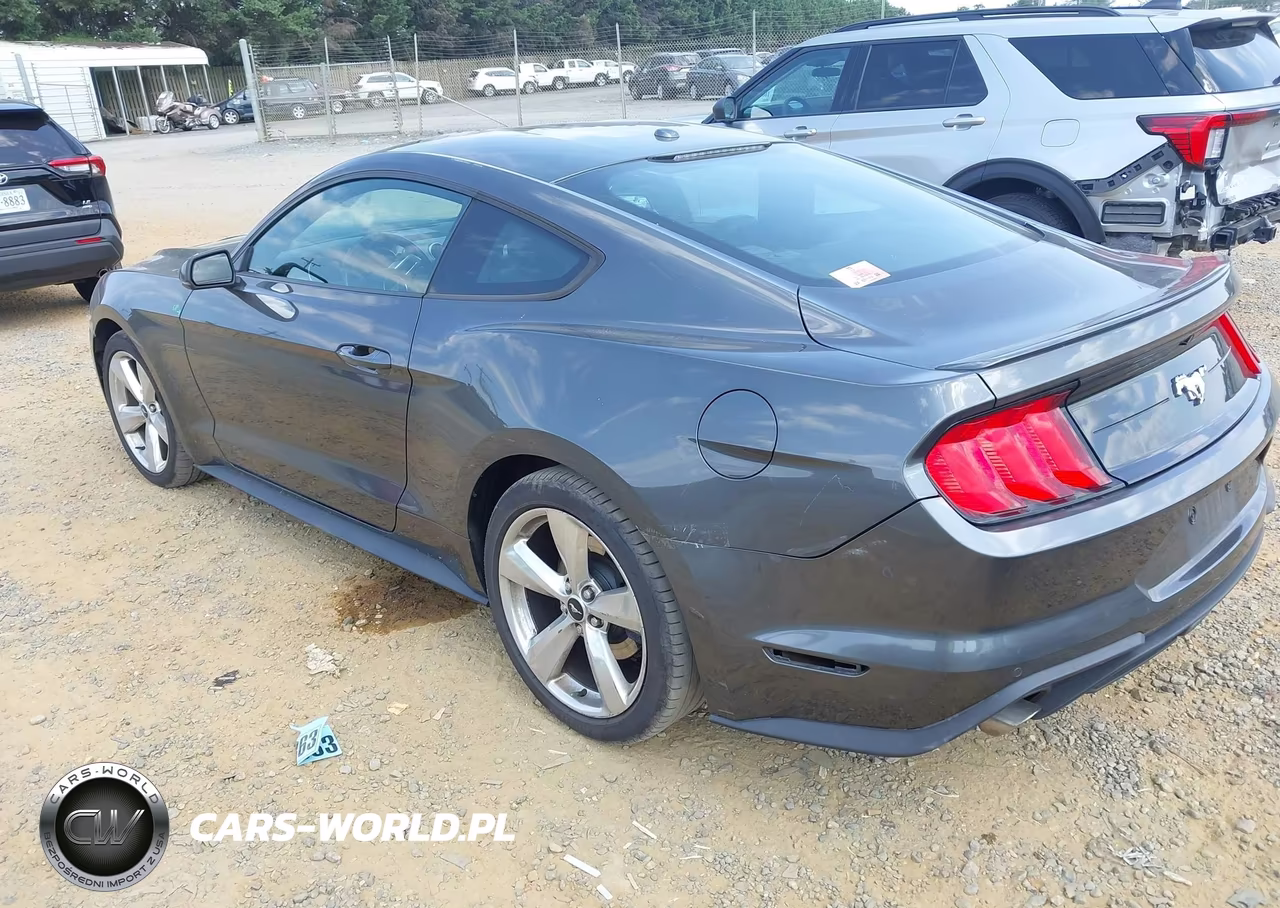 2019 Ford Mustang Ecoboost Premium VIN:1FA6P8TH7K5191806 - 3