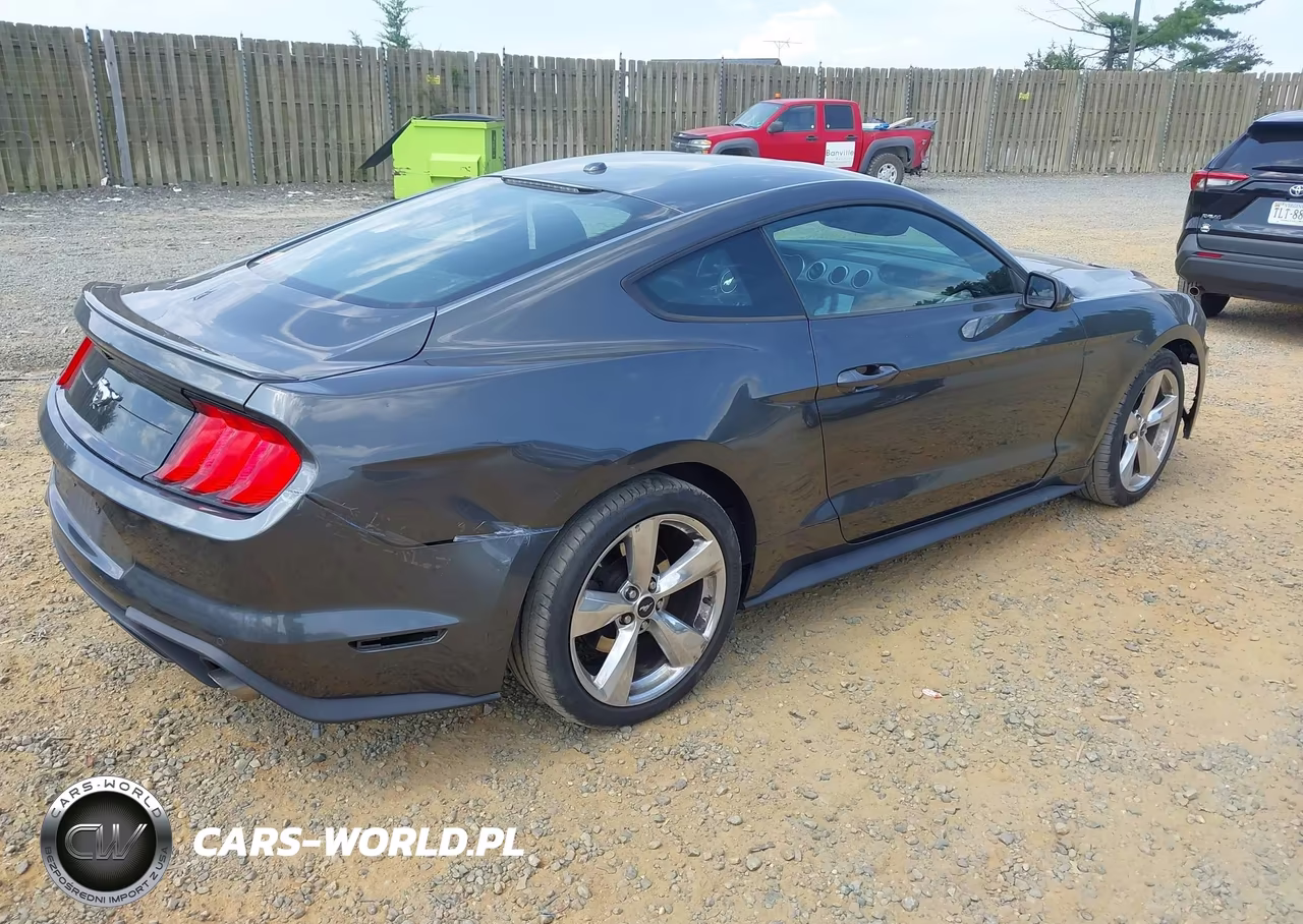 2019 Ford Mustang Ecoboost Premium VIN:1FA6P8TH7K5191806 - 4