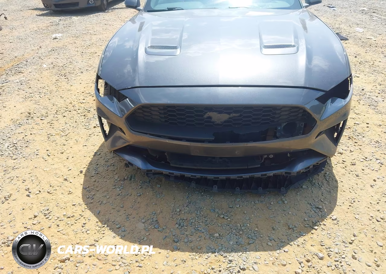 2019 Ford Mustang Ecoboost Premium VIN:1FA6P8TH7K5191806 - 6