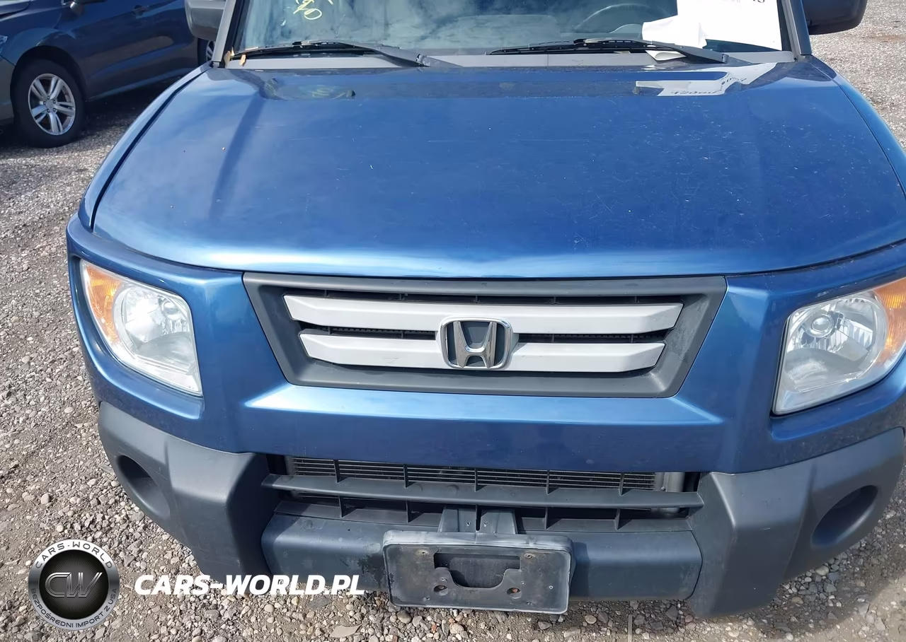 2007 Honda Element Ex VIN:5J6YH28747L008419 - 10