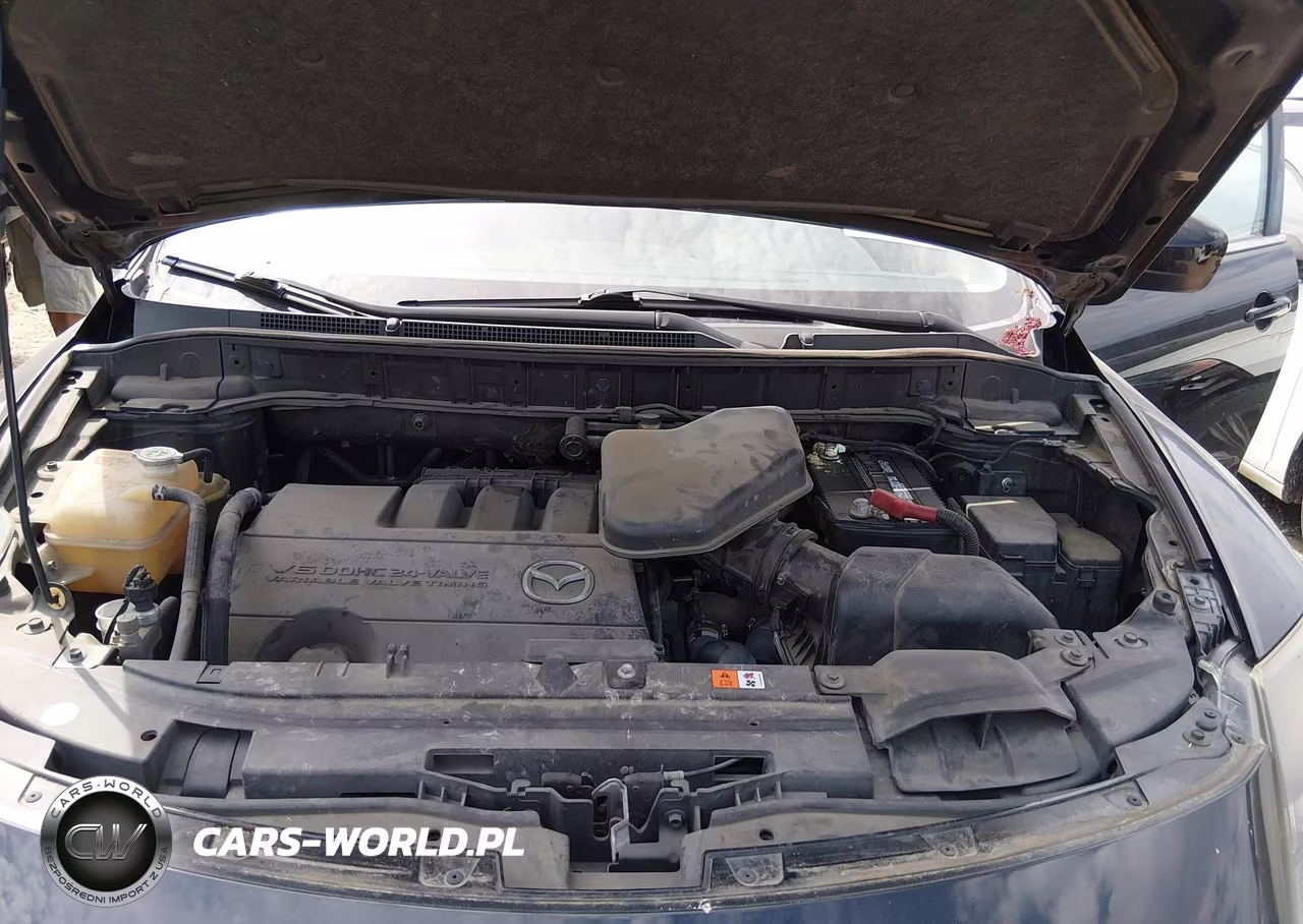 2013 Mazda Cx-9 Touring VIN:JM3TB2CA6D0424013 - 10