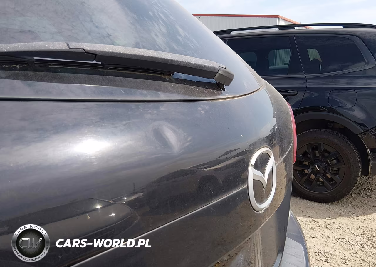 2013 Mazda Cx-9 Touring VIN:JM3TB2CA6D0424013 - 13