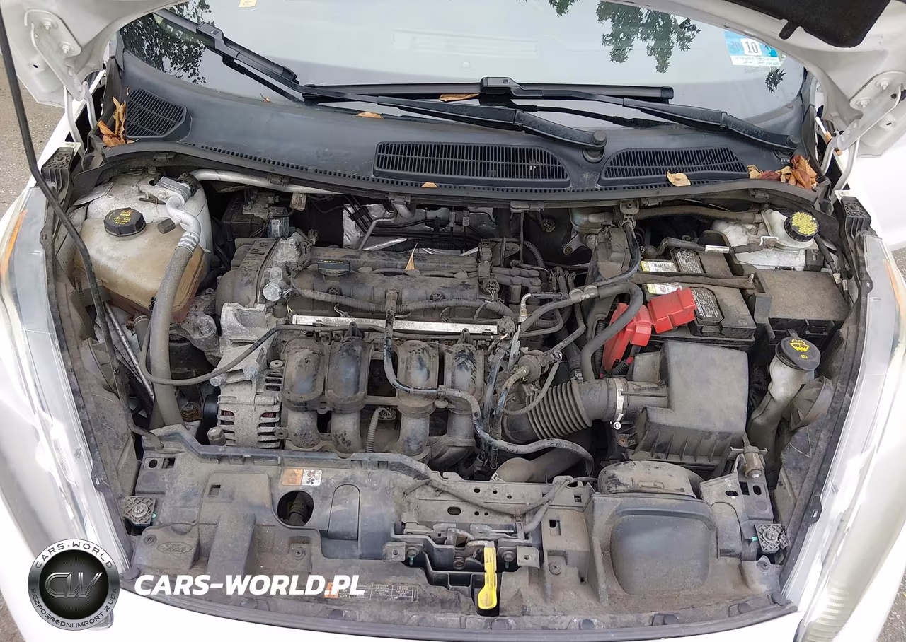 2015 Ford Fiesta Se VIN:3FADP4EJ3FM171388 - 10