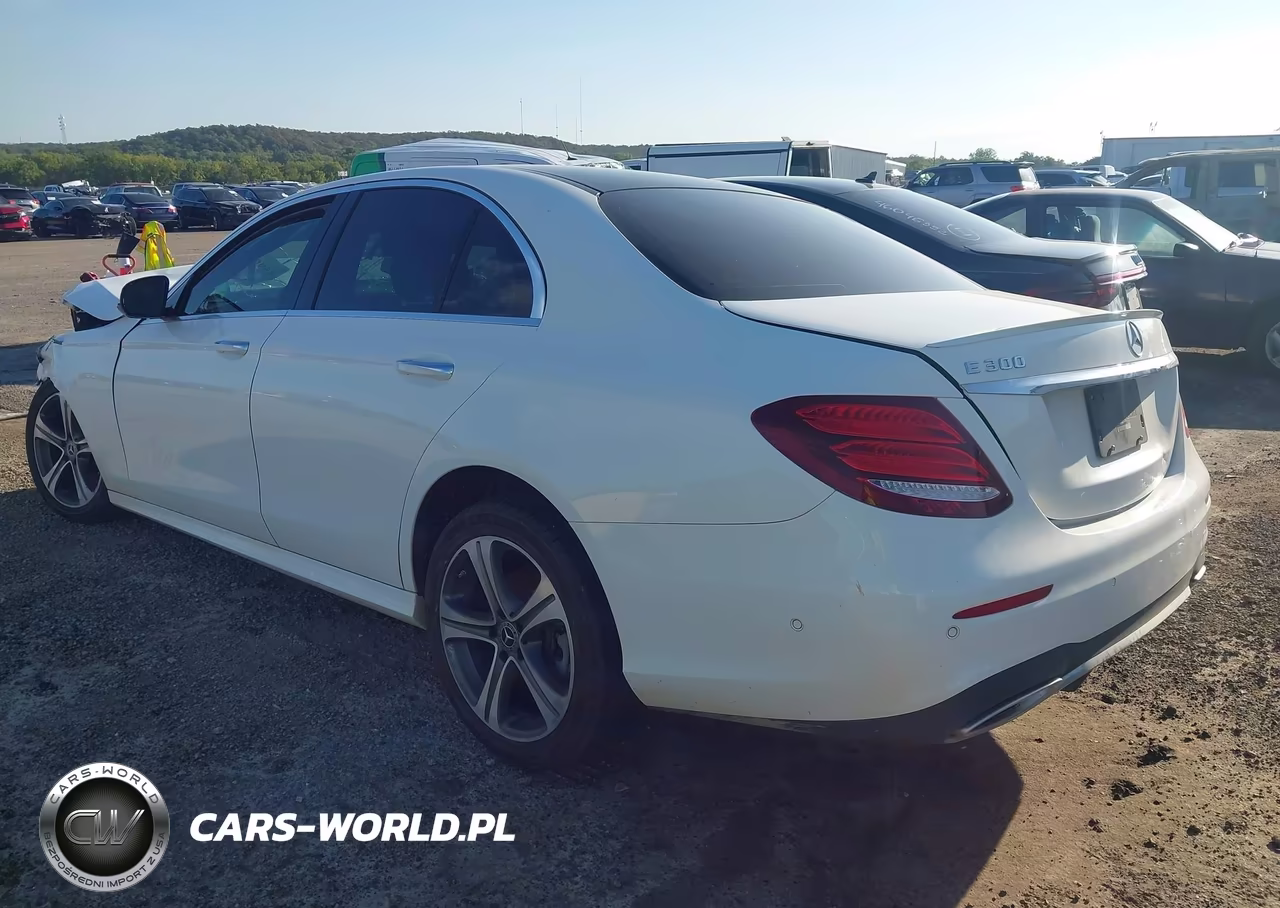 2019 Mercedes-Benz E 300 VIN:WDDZF4JB0KA658322 - 3