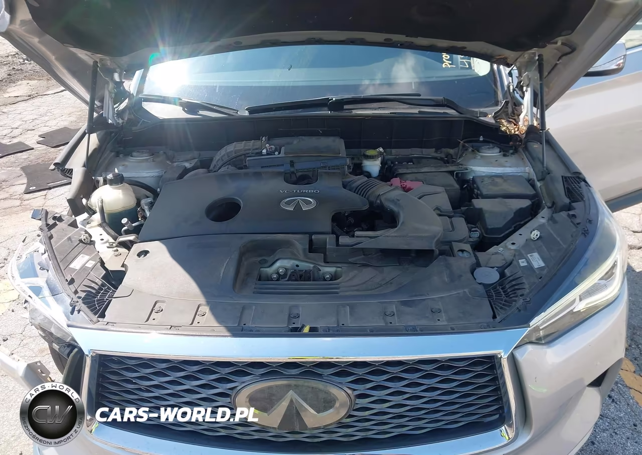 2019 Infiniti Qx50 Luxe VIN:3PCAJ5M12KF139018 - 10