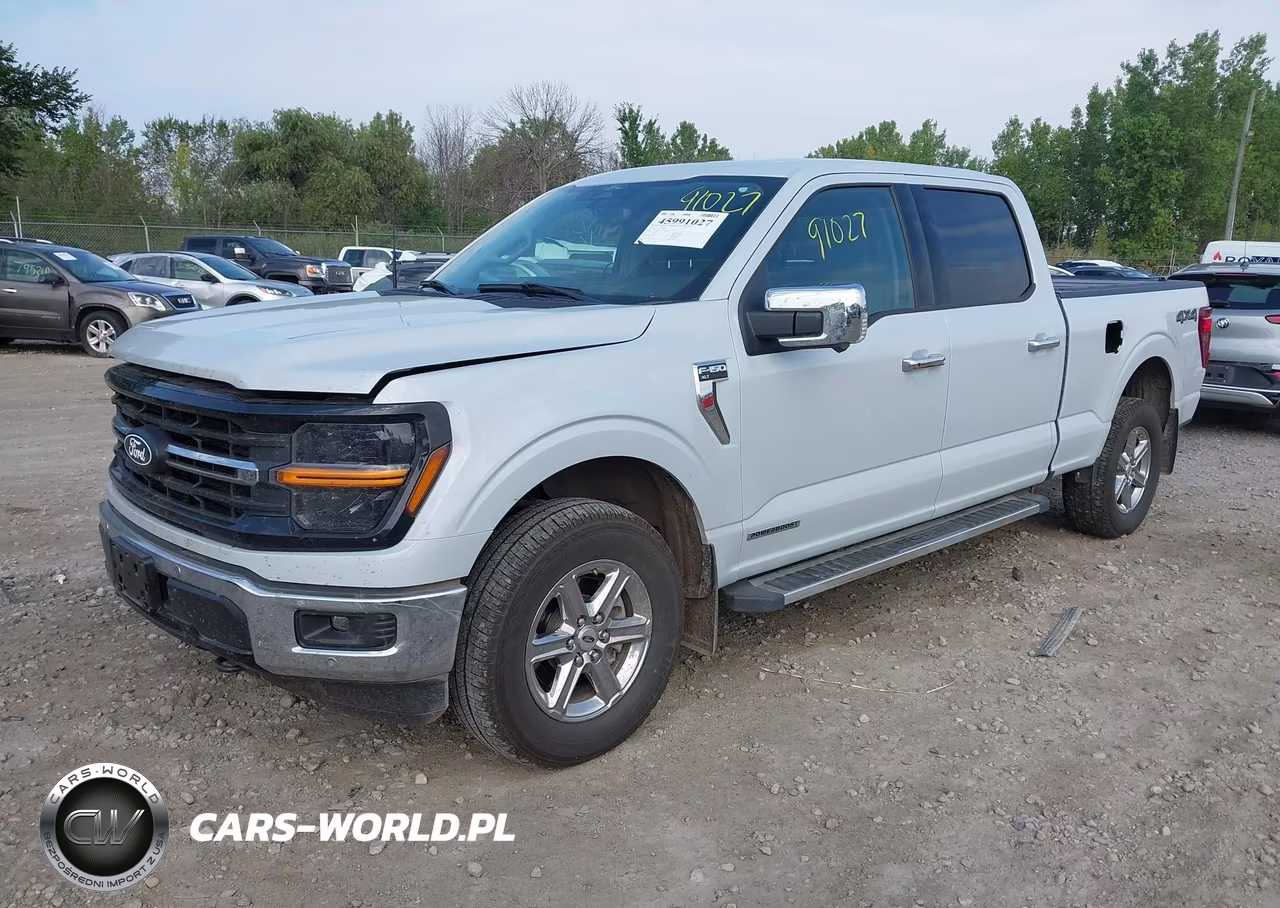 2025 Ford F-150 Xlt VIN:1FTFW3LD4SFA62543 - 2