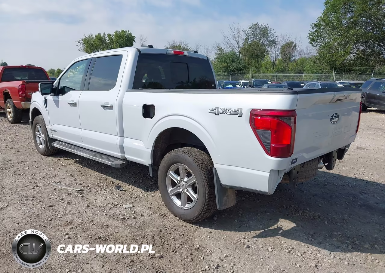 2025 Ford F-150 Xlt VIN:1FTFW3LD4SFA62543 - 3