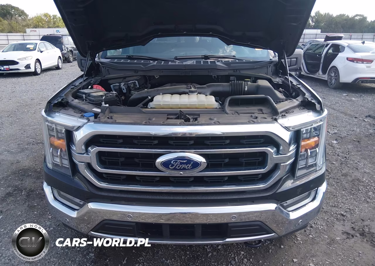 2023 Ford F-150 Xlt VIN:1FTFW1E85PKF93687 - 10