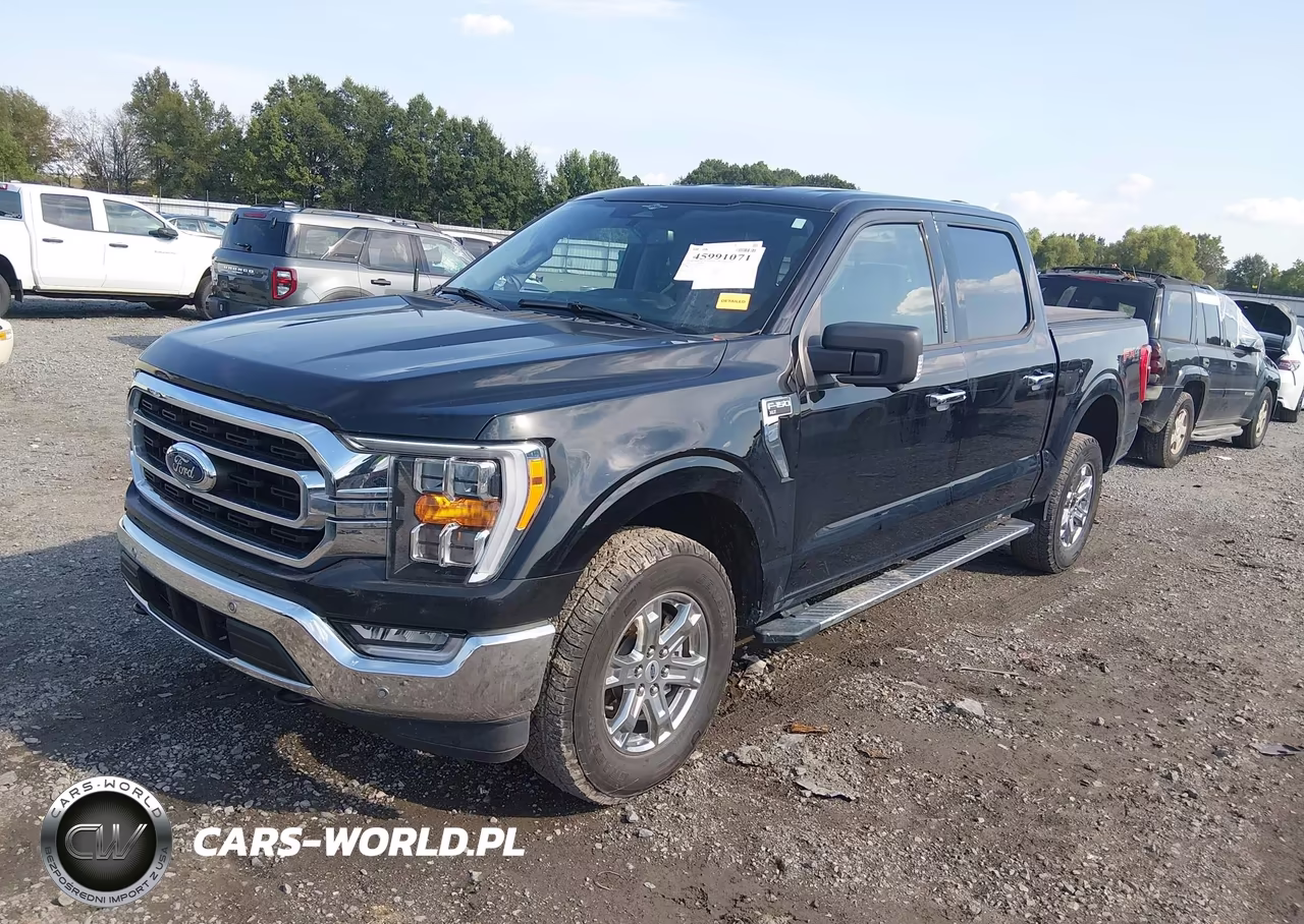 2023 Ford F-150 Xlt VIN:1FTFW1E85PKF93687 - 2
