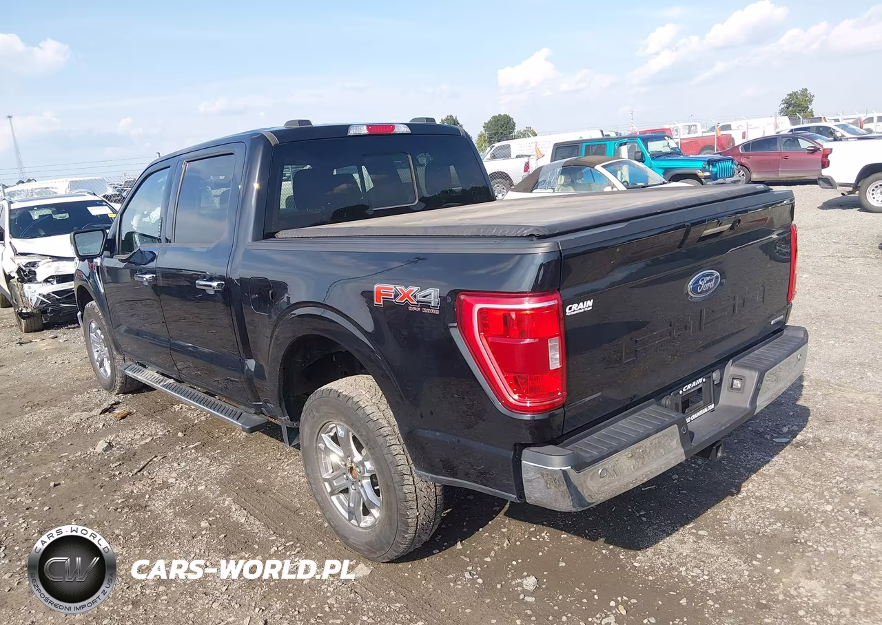 2023 Ford F-150 Xlt VIN:1FTFW1E85PKF93687 - 3