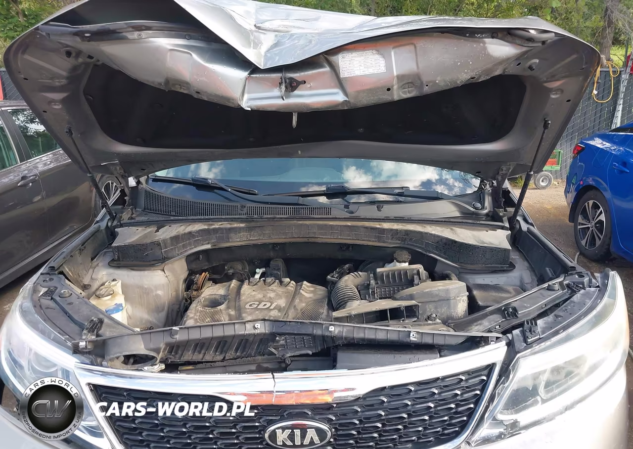 2014 Kia Sorento Lx VIN:5XYKT4A61EG548780 - 10