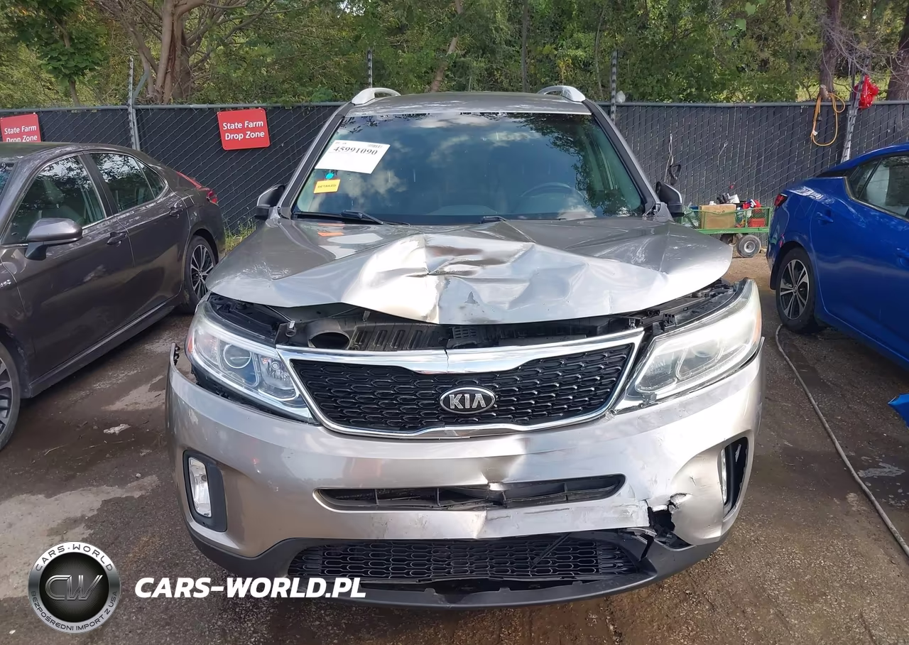 2014 Kia Sorento Lx VIN:5XYKT4A61EG548780 - 12
