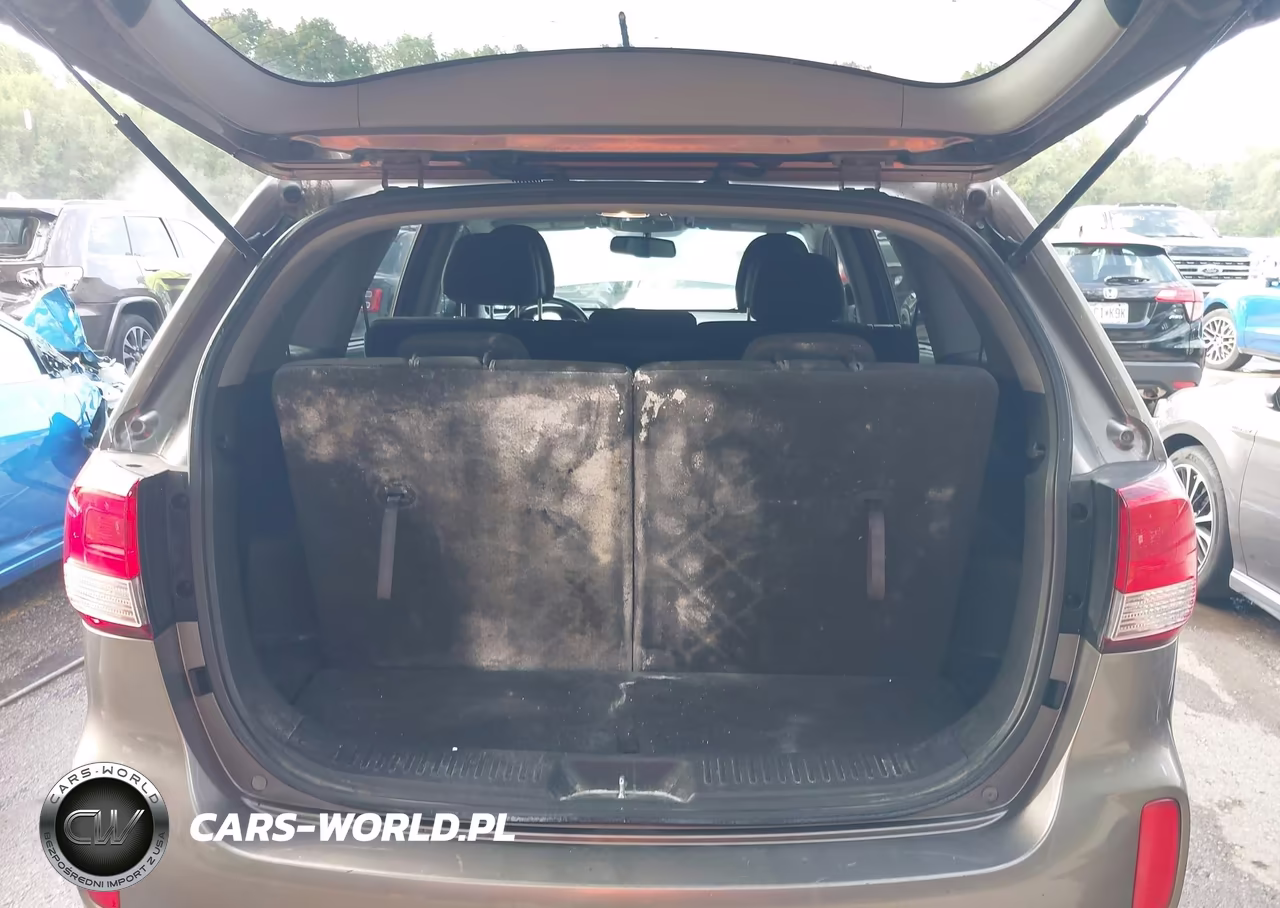 2014 Kia Sorento Lx VIN:5XYKT4A61EG548780 - 17