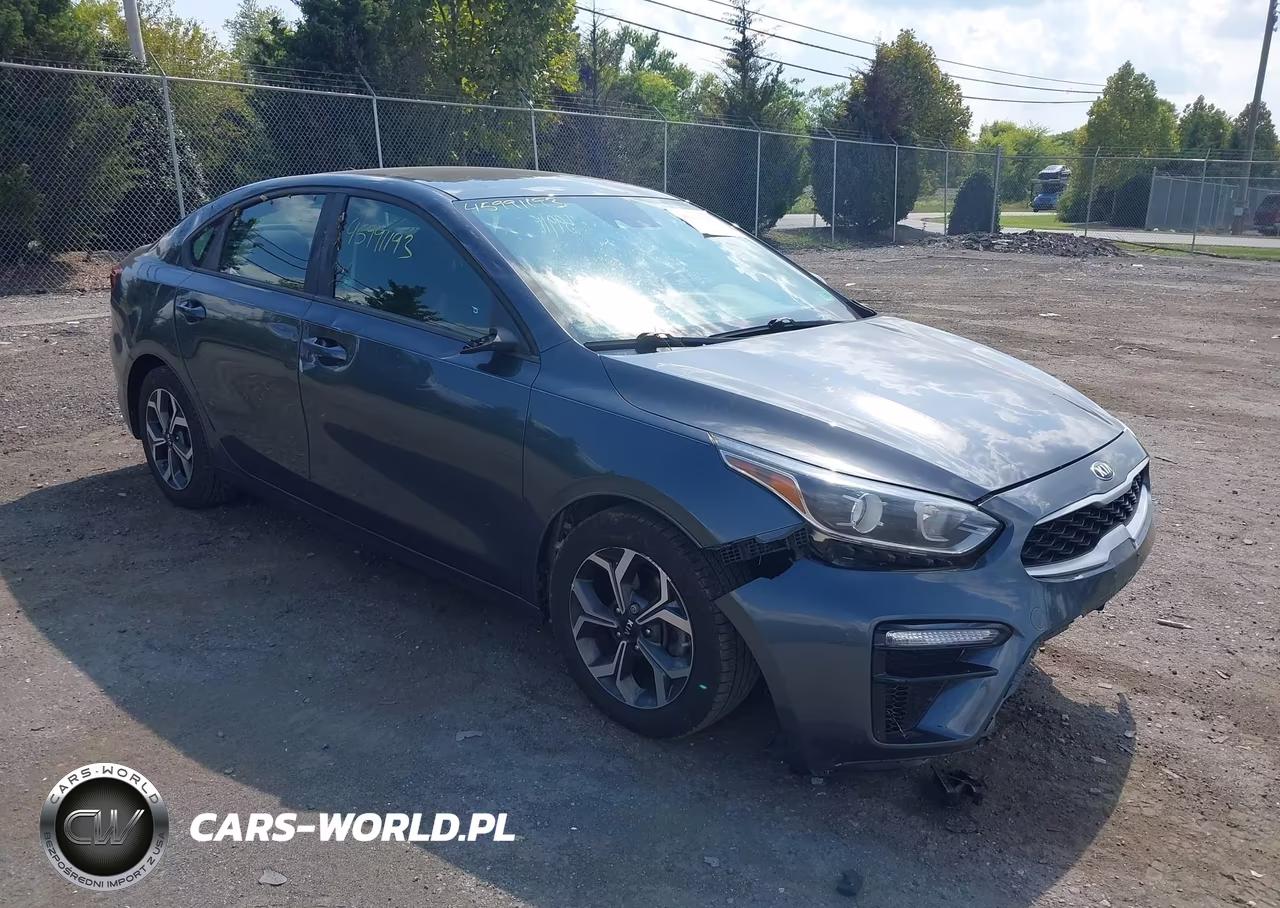 2019 Kia Forte Lxs