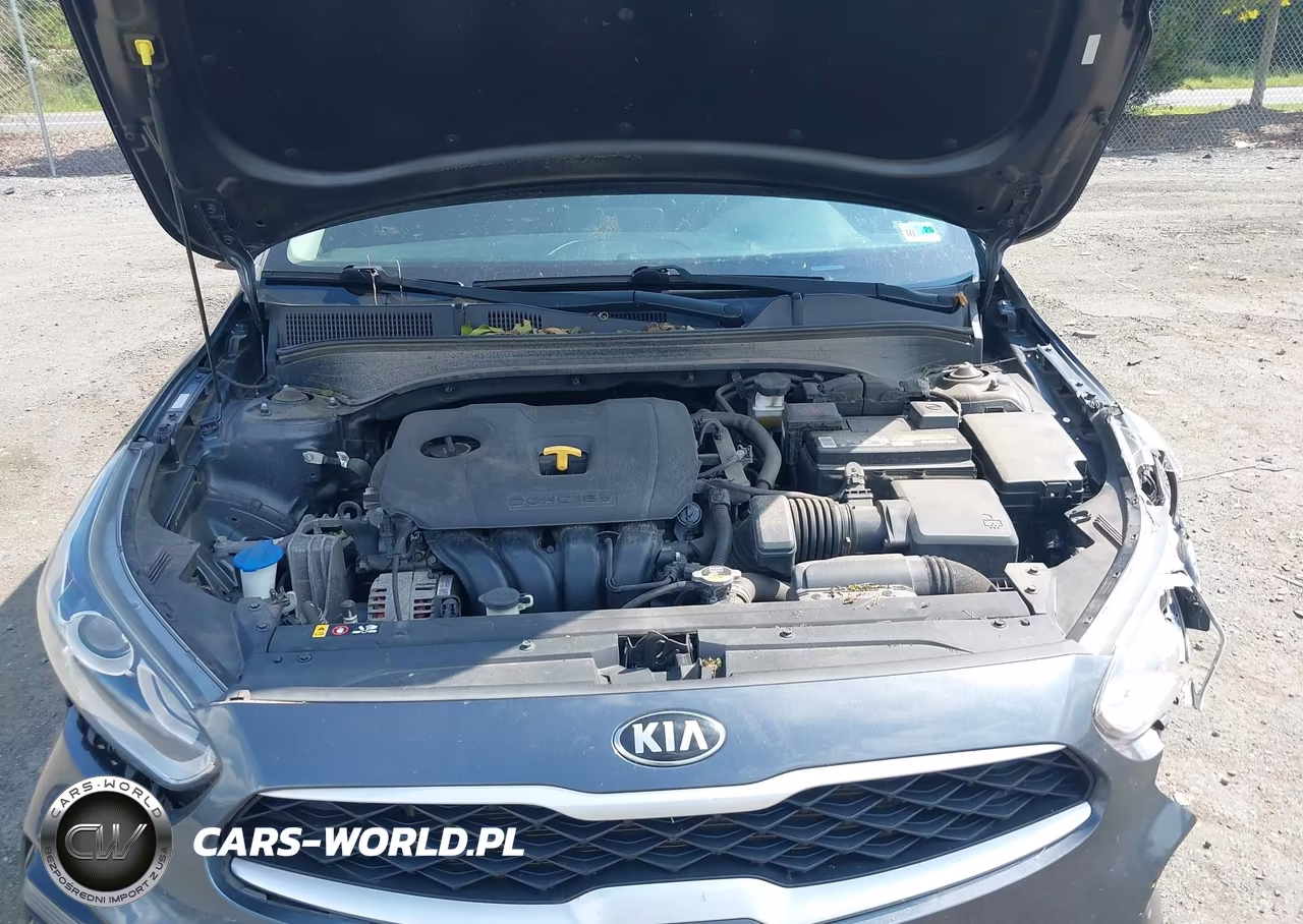 2019 Kia Forte Lxs VIN:3KPF24AD2KE037297 - 10