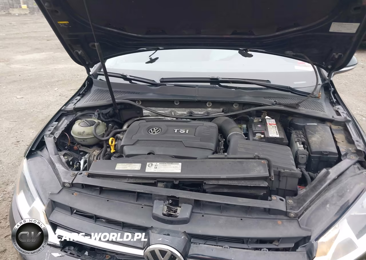 2015 Volkswagen Golf Tsi S 4-Door VIN:3VW217AU3FM080865 - 10