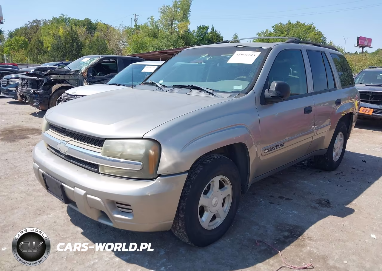 2002 Chevrolet Trailblazer Ls VIN:1GNDS13S422401600 - 2