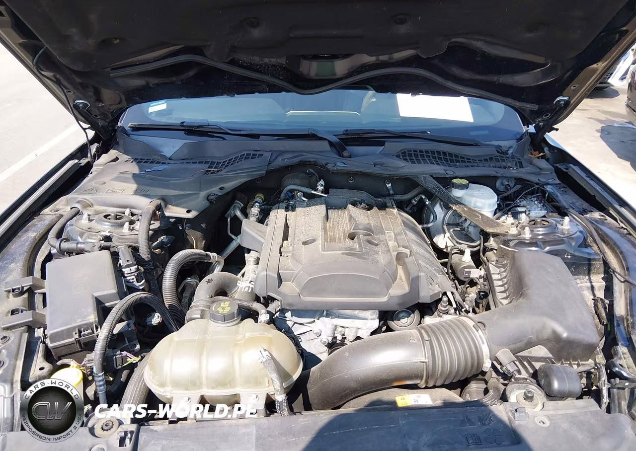 2018 Ford Mustang Ecoboost Premium VIN:1FATP8UH7J5133484 - 10