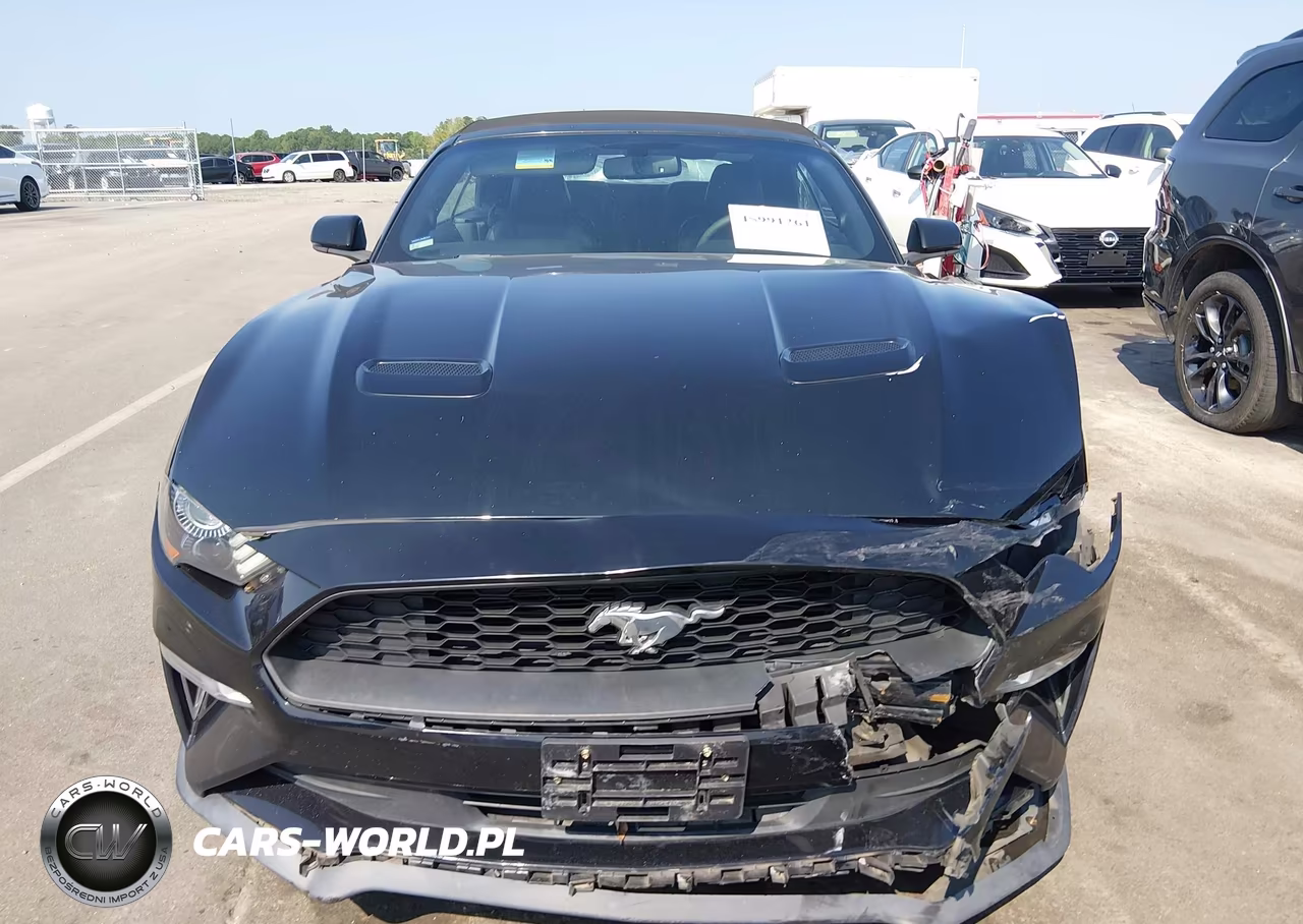 2018 Ford Mustang Ecoboost Premium VIN:1FATP8UH7J5133484 - 12