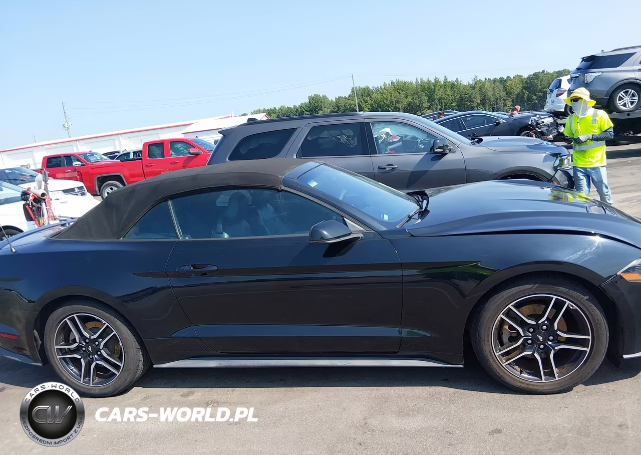 2018 Ford Mustang Ecoboost Premium VIN:1FATP8UH7J5133484 - 13