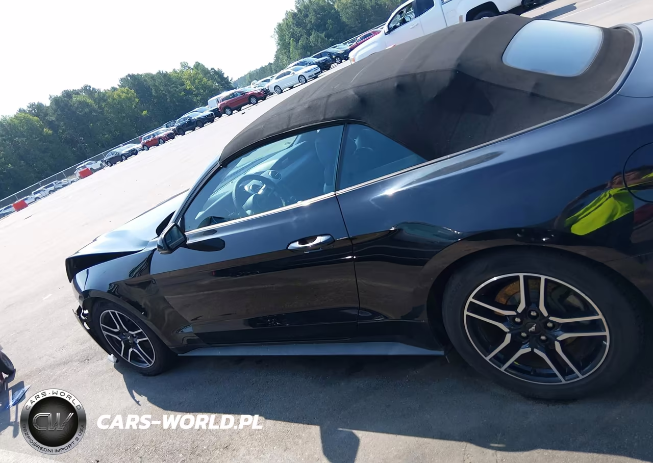 2018 Ford Mustang Ecoboost Premium VIN:1FATP8UH7J5133484 - 14