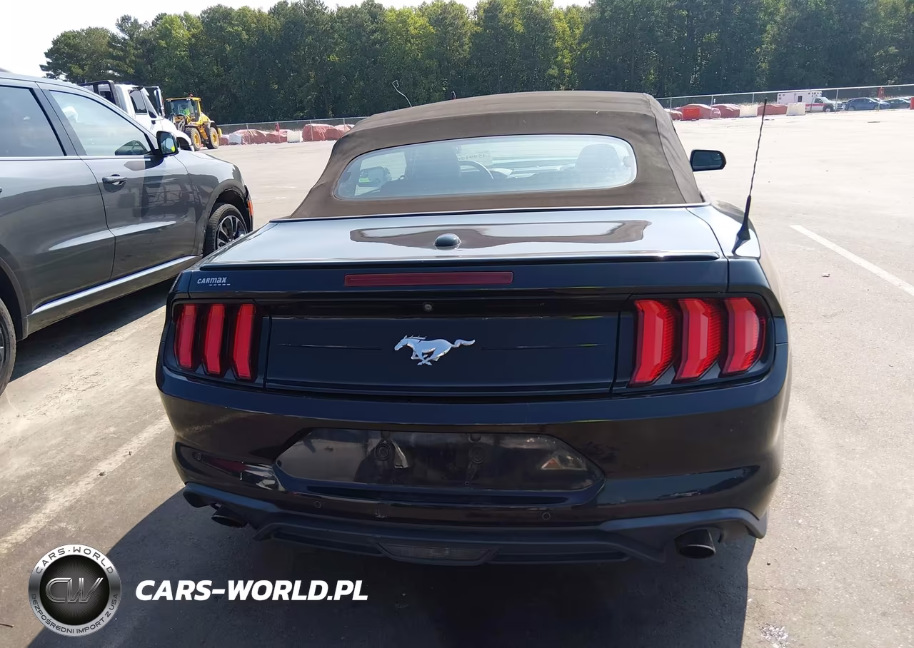 2018 Ford Mustang Ecoboost Premium VIN:1FATP8UH7J5133484 - 16