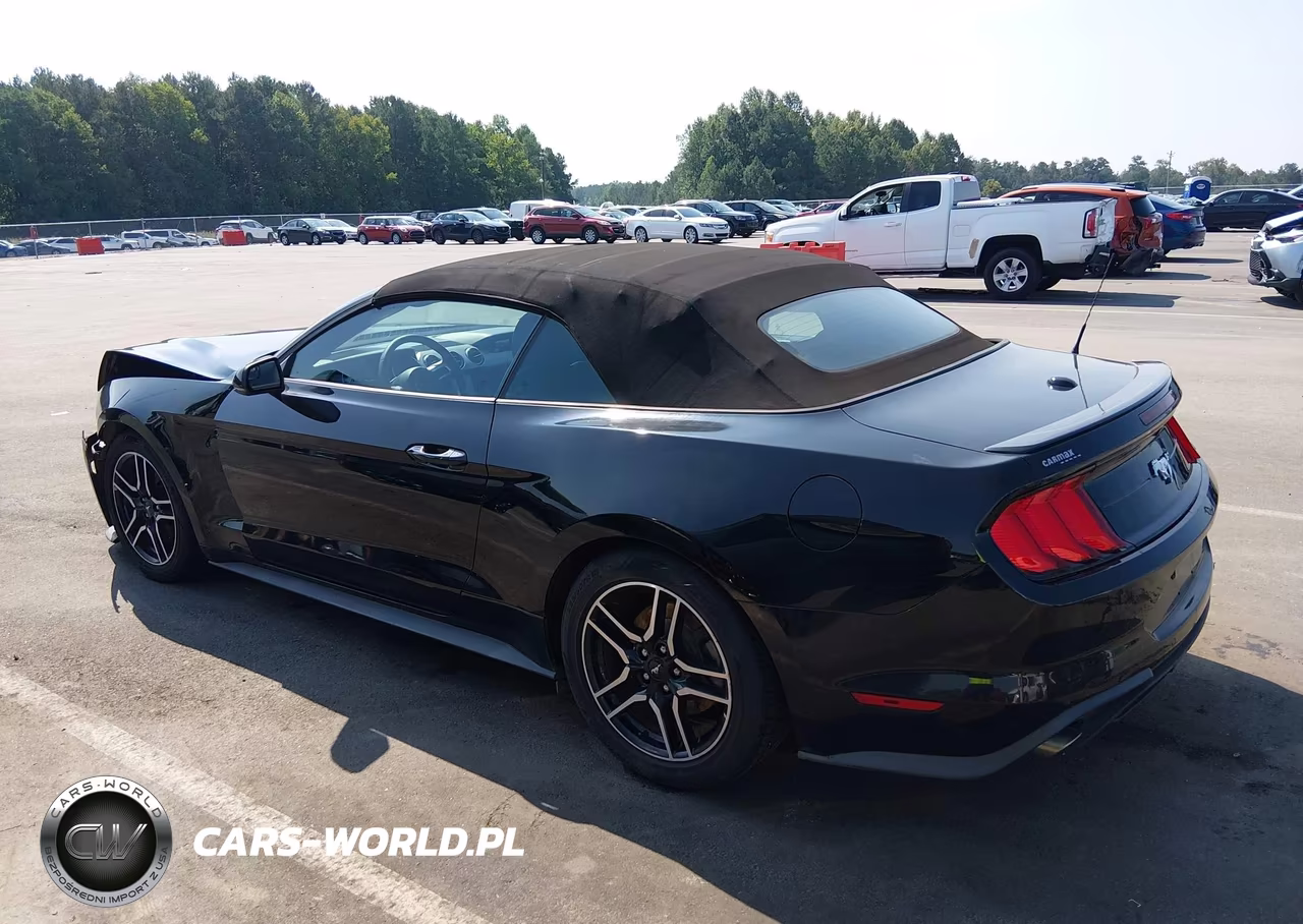 2018 Ford Mustang Ecoboost Premium VIN:1FATP8UH7J5133484 - 3