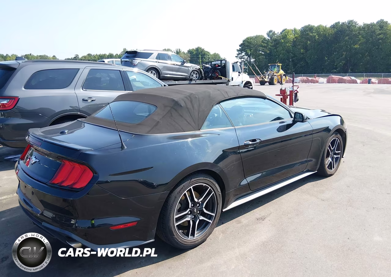2018 Ford Mustang Ecoboost Premium VIN:1FATP8UH7J5133484 - 4