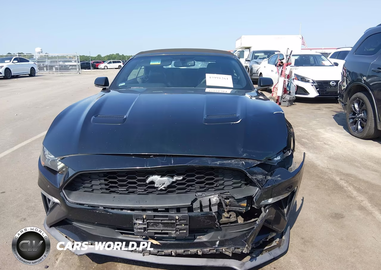 2018 Ford Mustang Ecoboost Premium VIN:1FATP8UH7J5133484 - 6