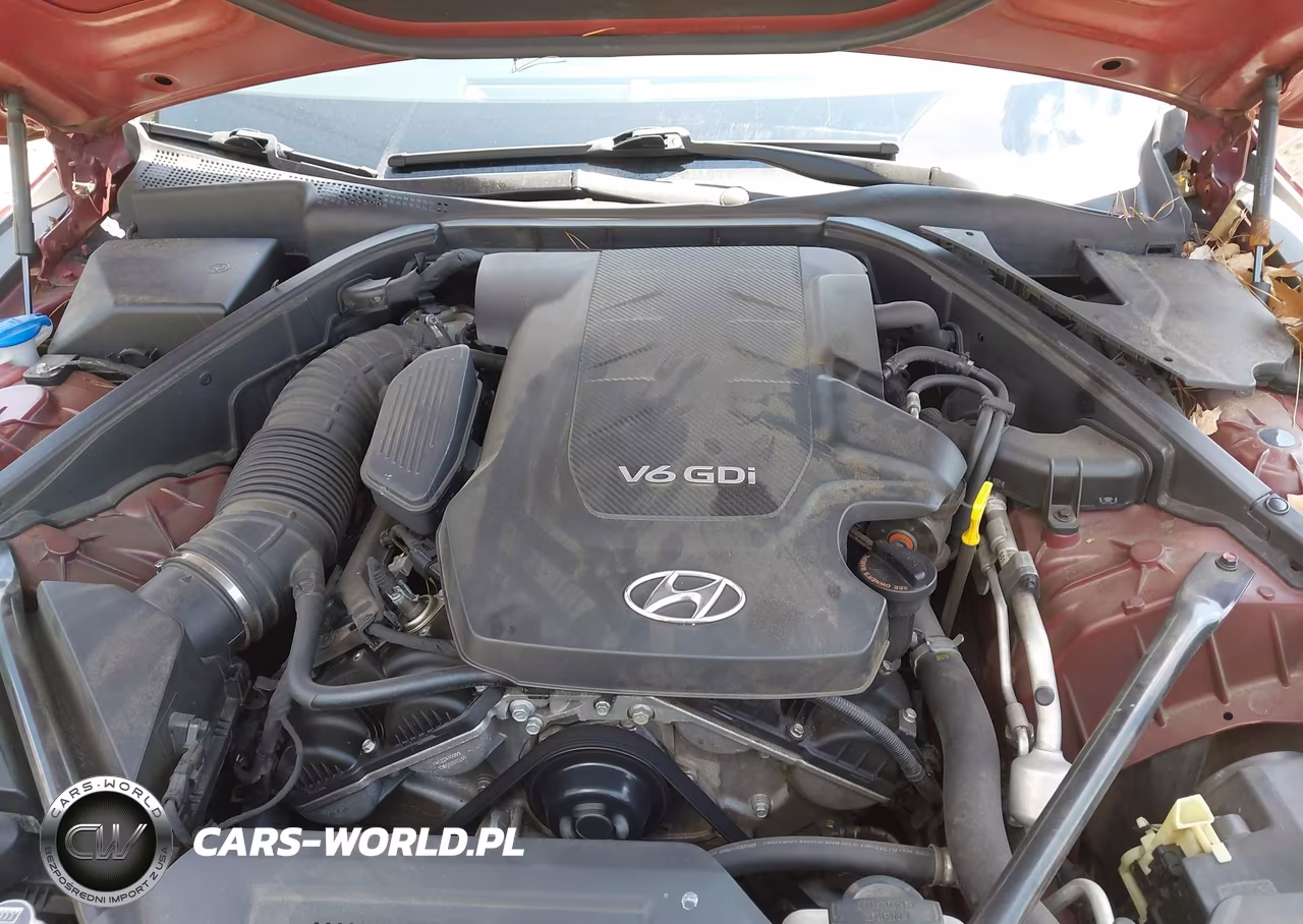 2015 Hyundai Genesis 3.8L VIN:KMHGN4JE6FU076045 - 10