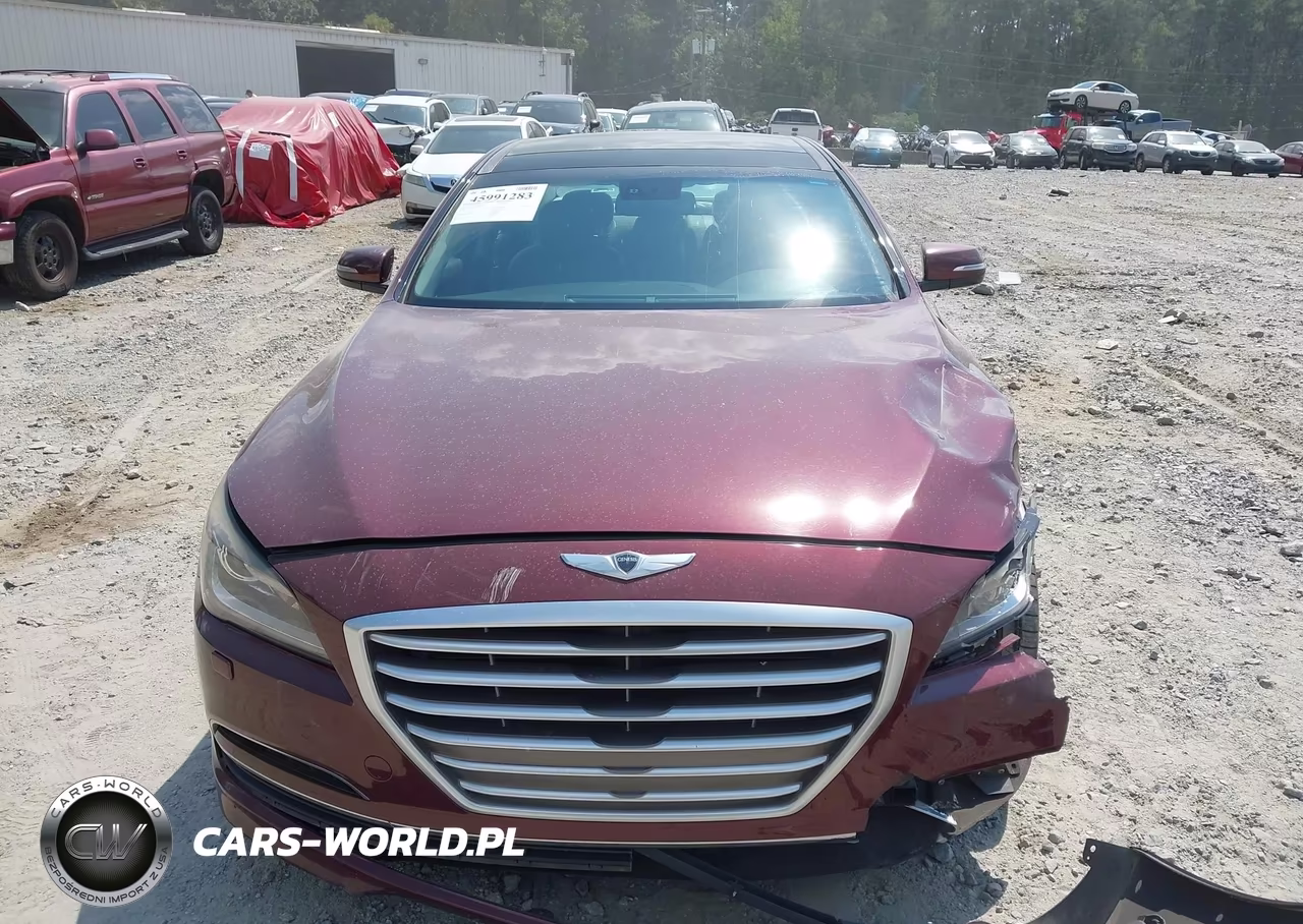 2015 Hyundai Genesis 3.8L VIN:KMHGN4JE6FU076045 - 12