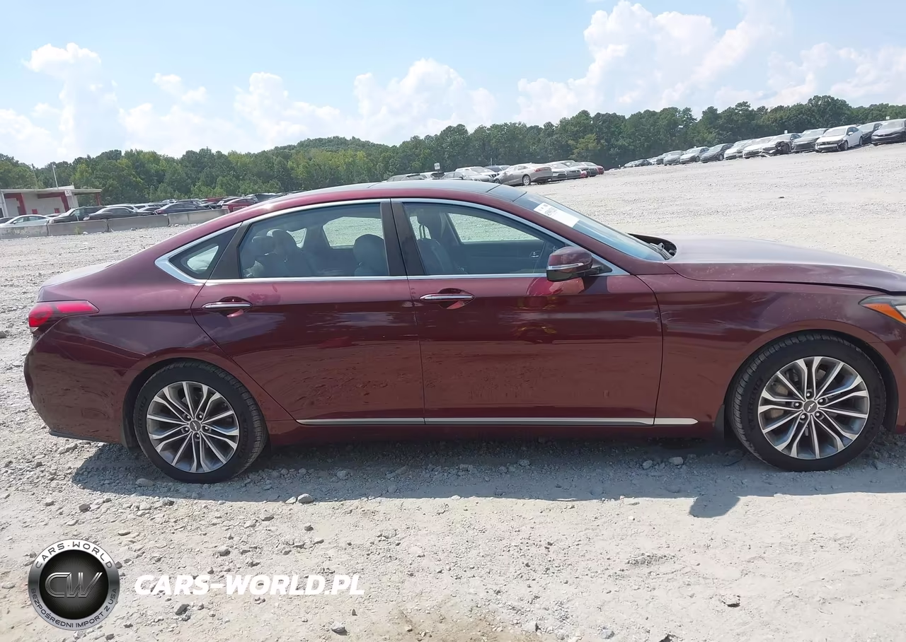 2015 Hyundai Genesis 3.8L VIN:KMHGN4JE6FU076045 - 13